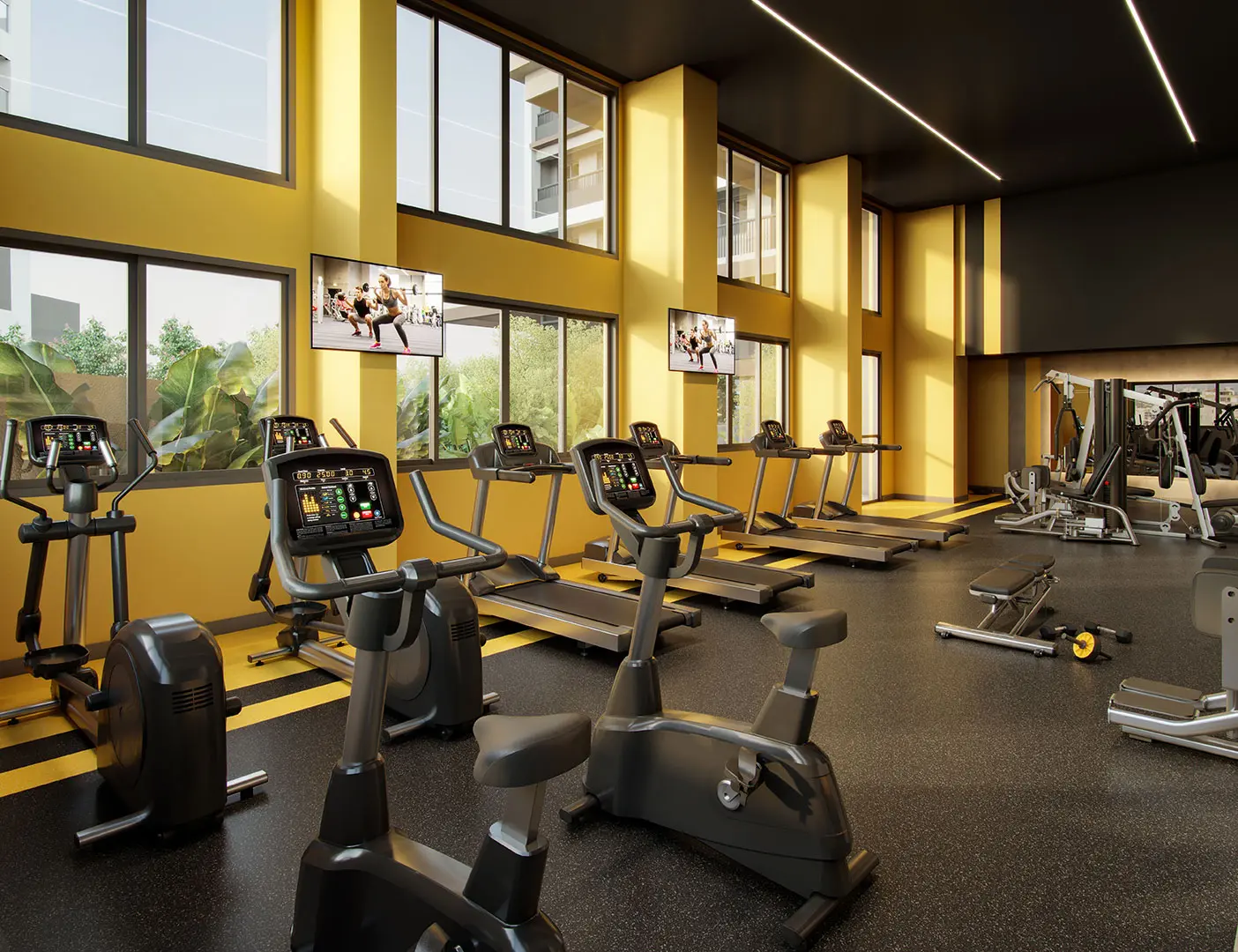 AAM_TBV_FITNESS_R03-HR-1